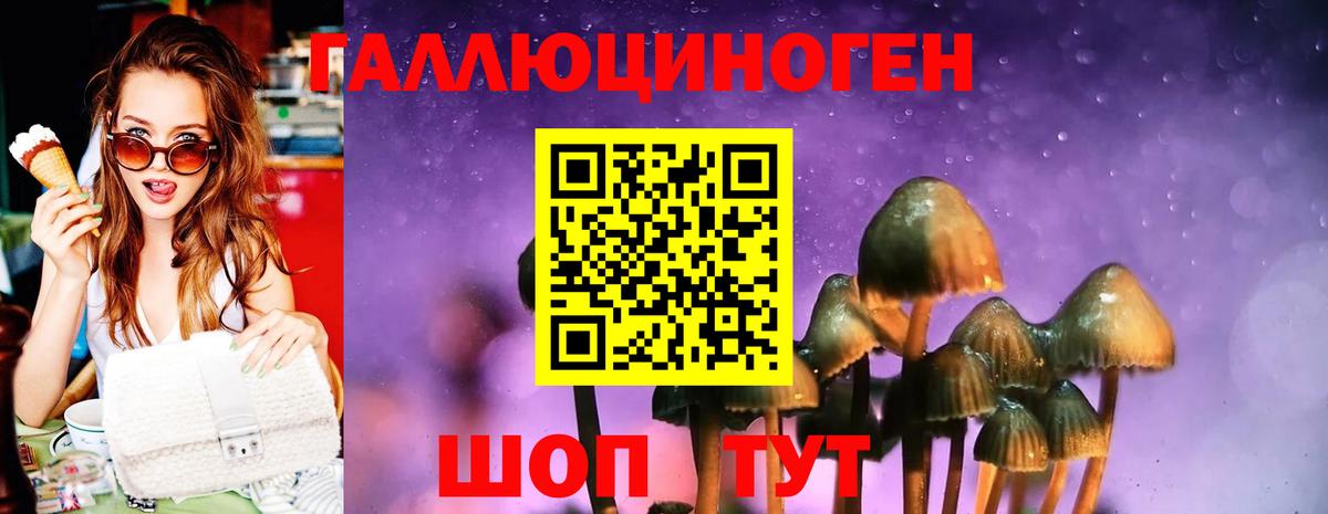 Карасук  как найти закладки  Вход с VPN  Галлюциногенные грибы Cubensis 